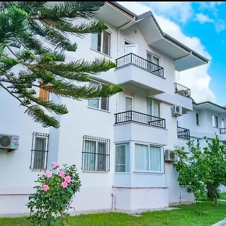 Modern Cozy Payallar